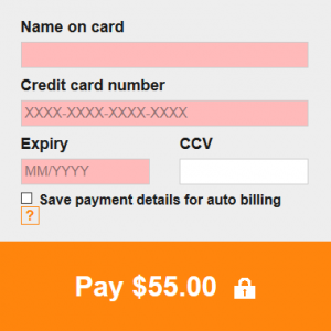 payment form